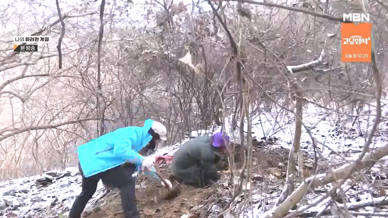 나는 자연인이다.E587.240104p-NEXT.mp4_20240104_195909.359.jpg