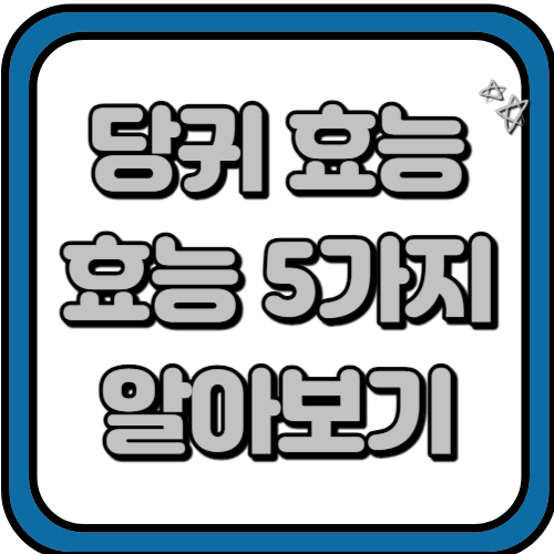 당귀 효능 5가지