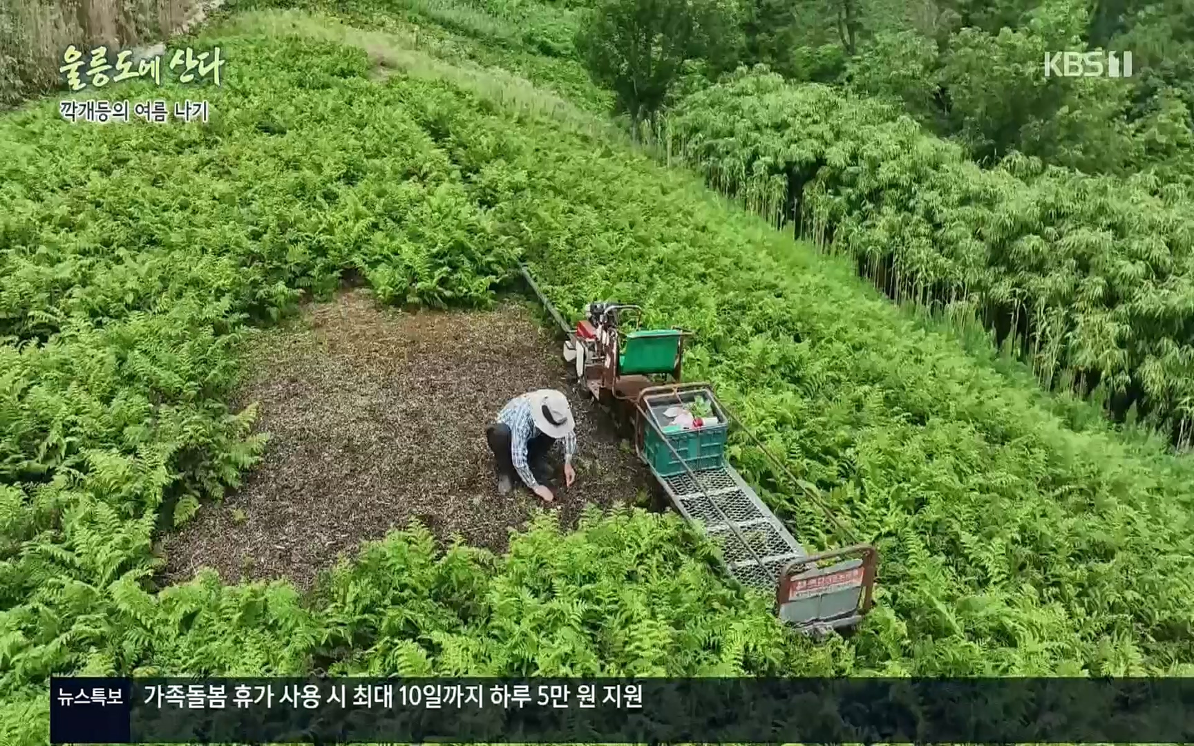 다큐울릉도에산다.E01.220909p.H264-F1RST.mp4_20220912_180558.920.jpg