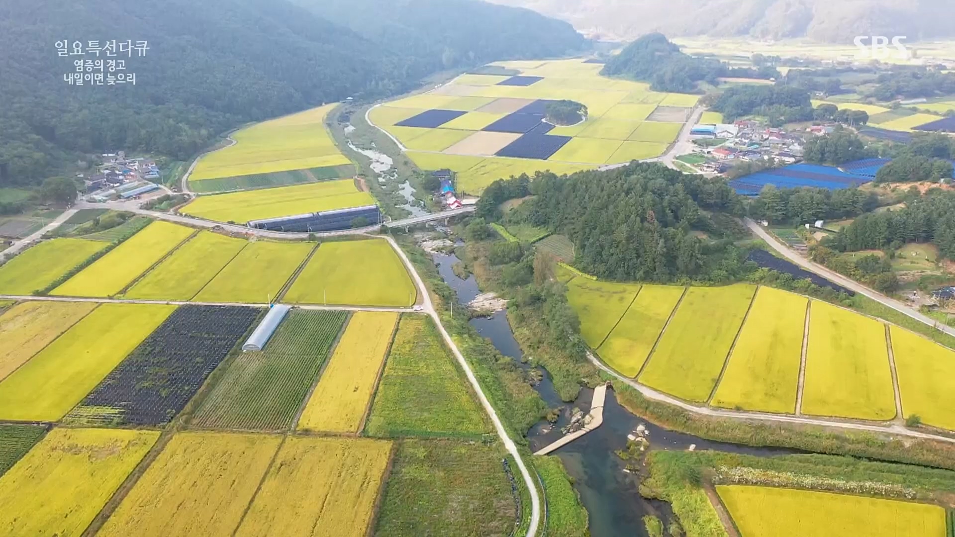 일요 특선 다큐멘터리.E305.230226p.H264-F1RST.mp4_20230301_011006.359.jpg