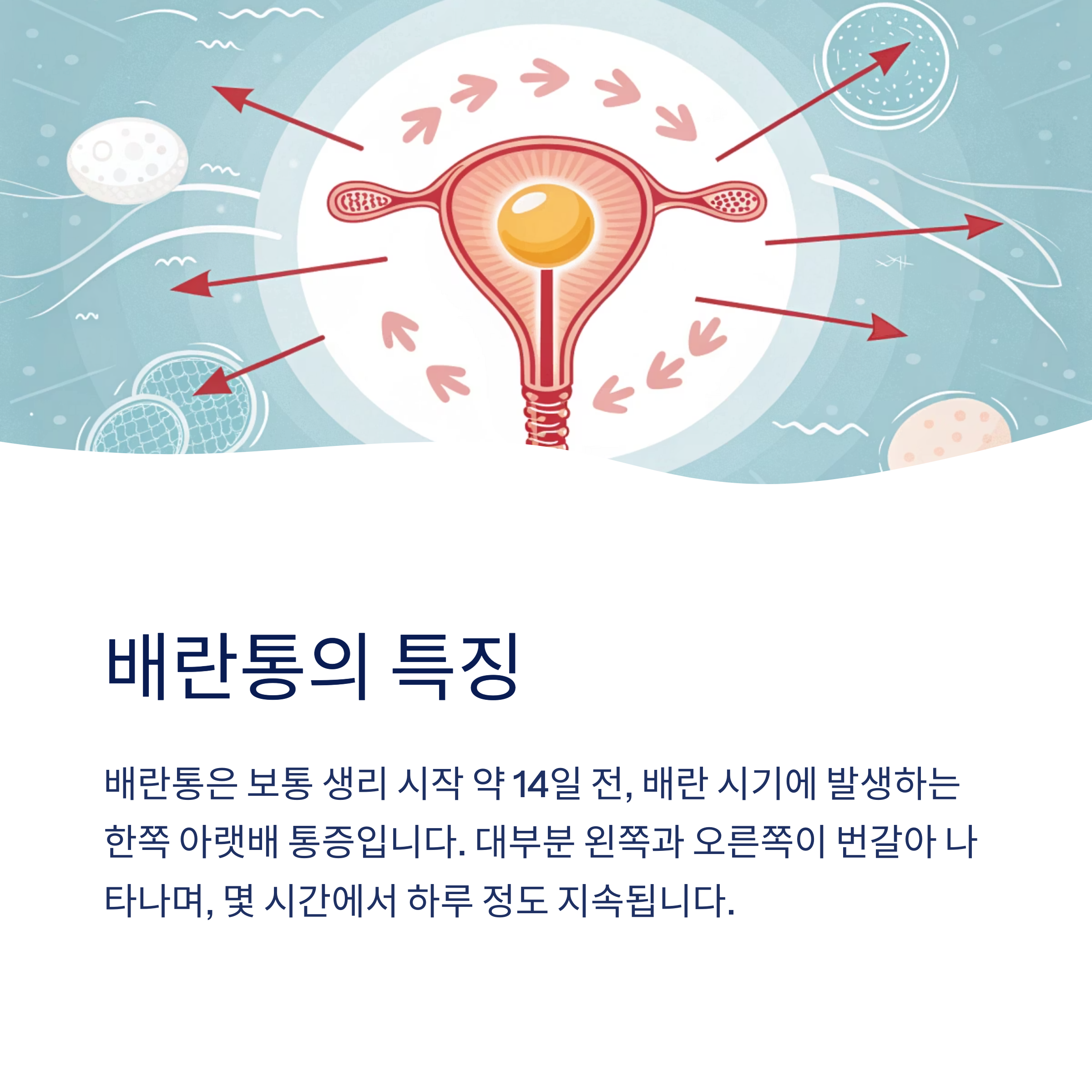 왼쪽 아랫배 통증