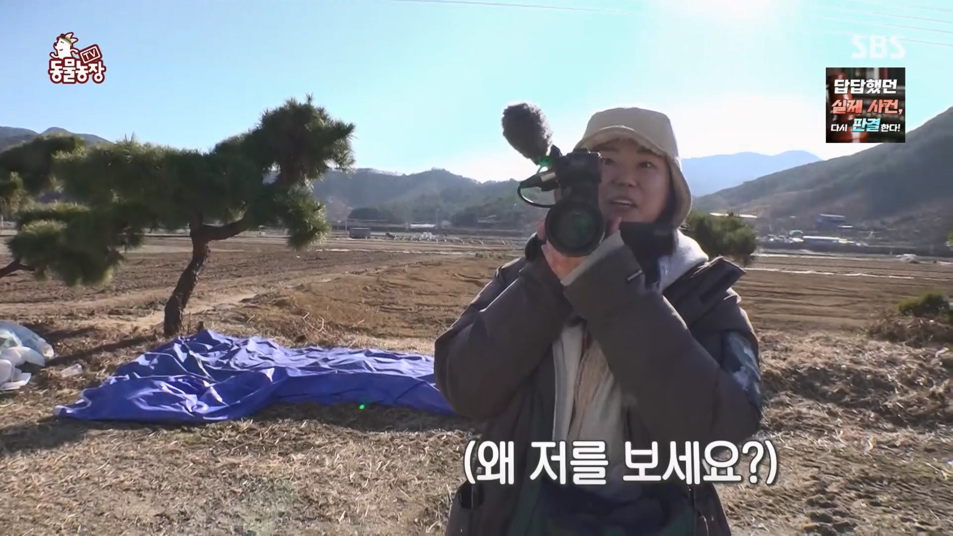 TV 동물농장.E1158.240211p.H264-F1RST.mp4_20240211_192000.880.jpg