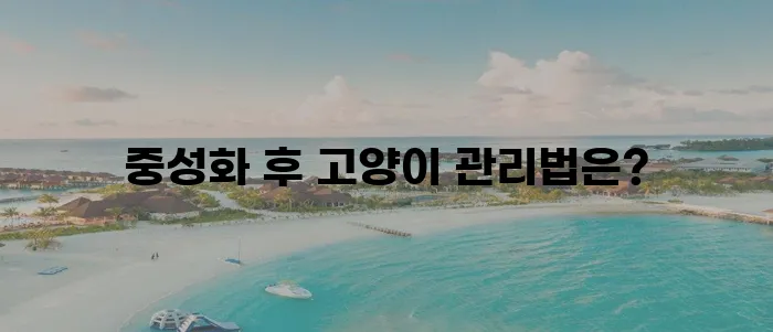 중성화수술 후 고양이 관리 필수 가이드로 건강과 행복을 챙기세요!