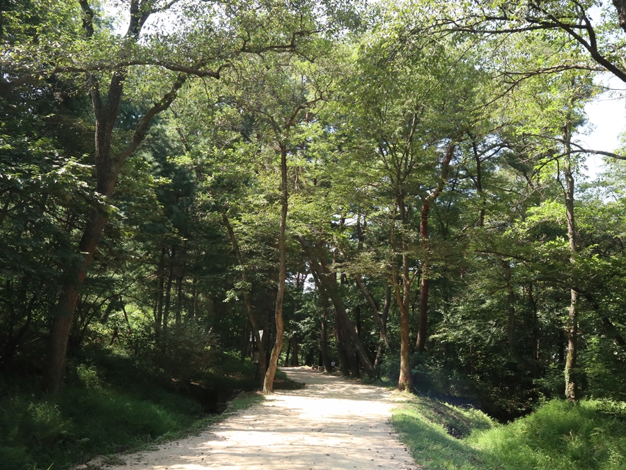 목릉숲