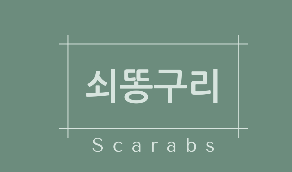 쇠똥구리(Scarabs)