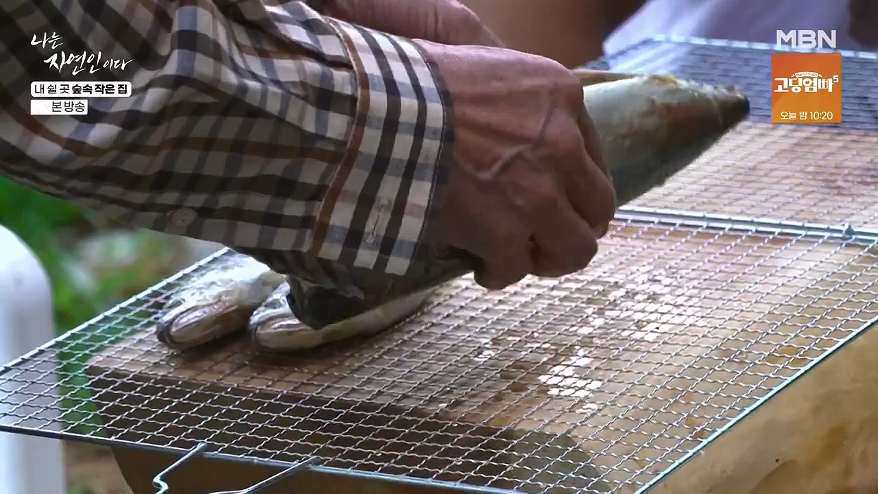 나는 자연인이다.E613.240711p-NEXT.mp4_20240711_195258.251.jpg