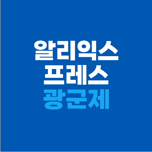 알리익스프레스 광군제