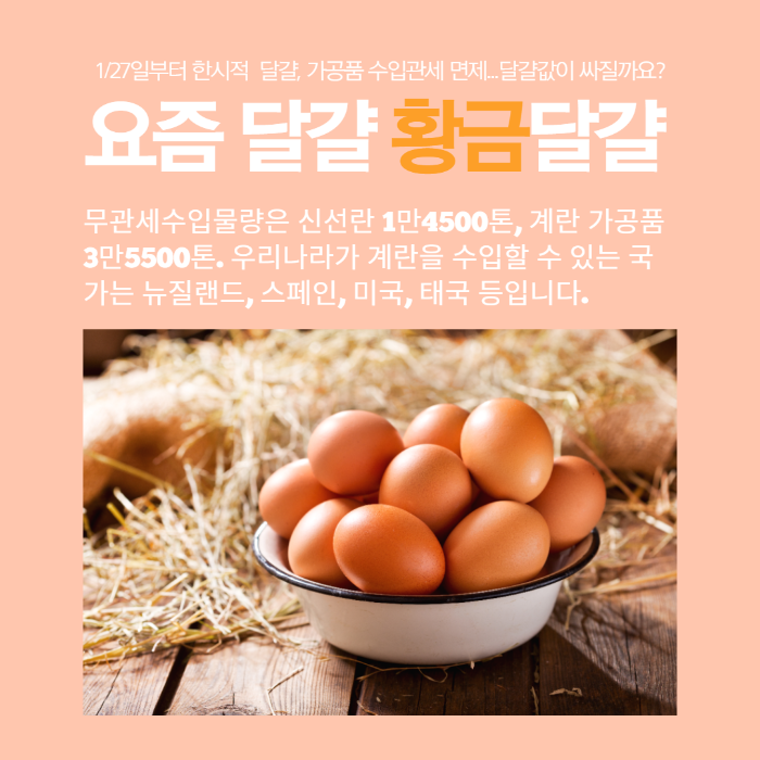  요즘달걀 금달걀. 달걀, 달걀가공품 무관세수입. 계란값이 좀 싸질까요?