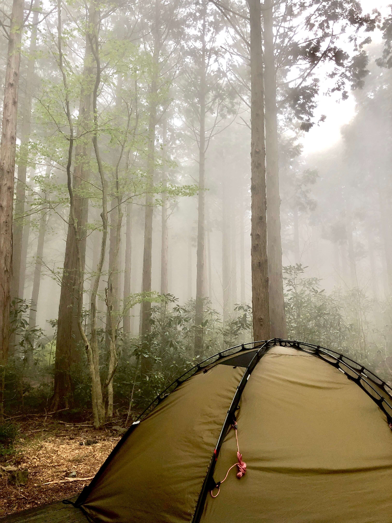 안개 낀 숲 가운데 텐트의 모습. 측면