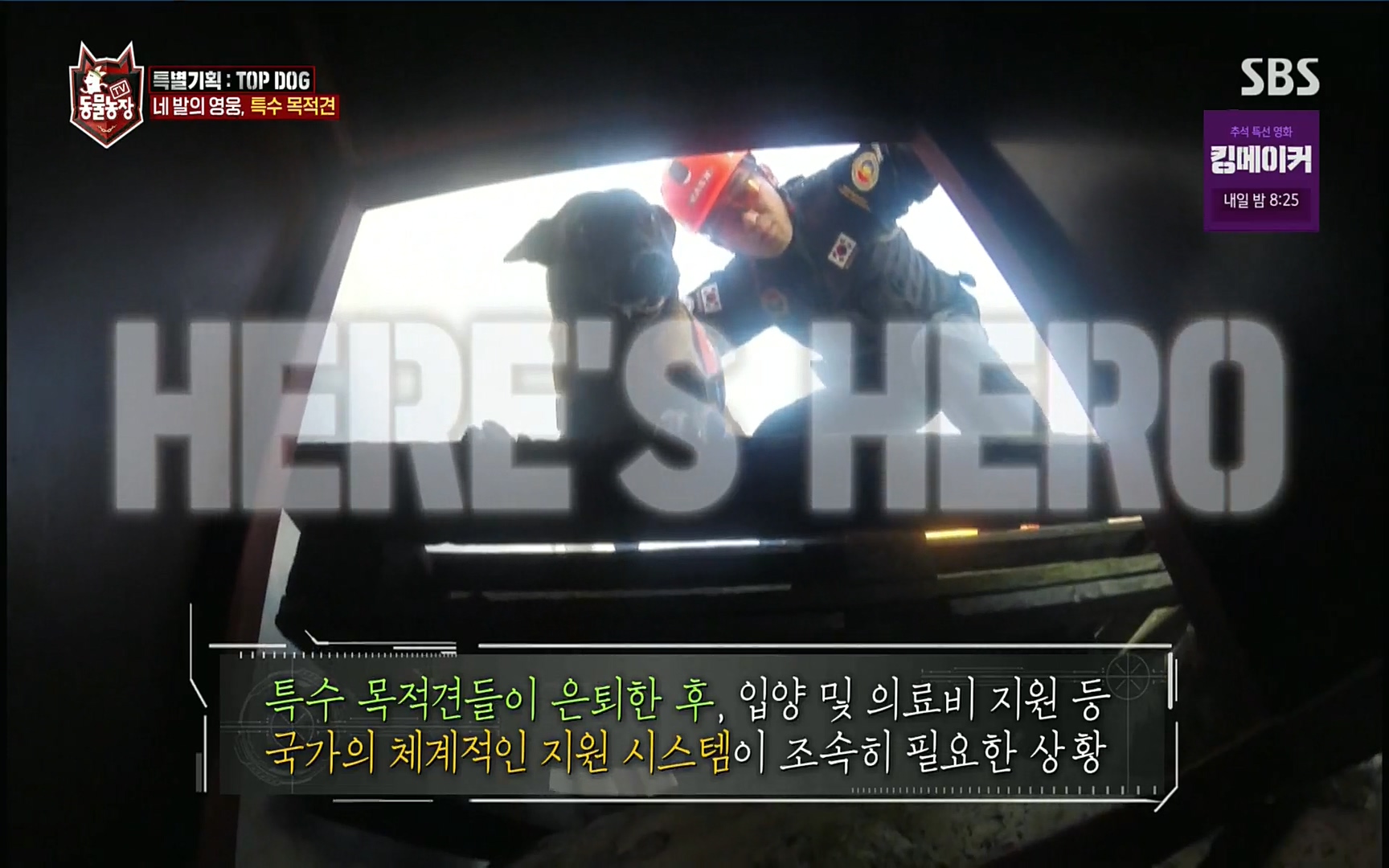 TV 동물농장.E1086.220911p.H264-F1RST.mp4_20220911_175222.900.jpg