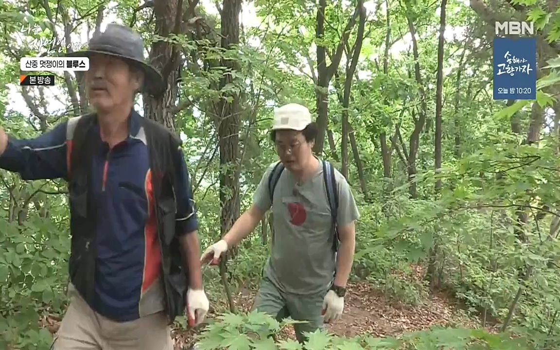 나는 자연인이다.E505.220609p-NEXT.mp4_20220609_200154.745.jpg