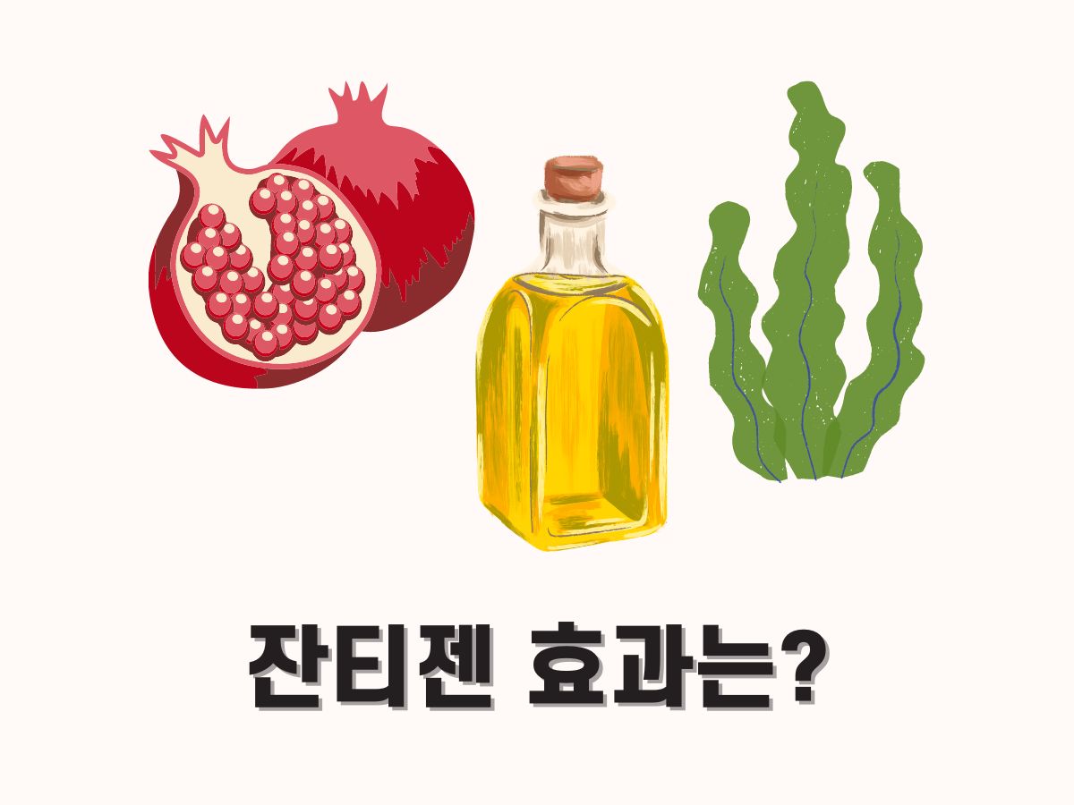 잔티젠 효과