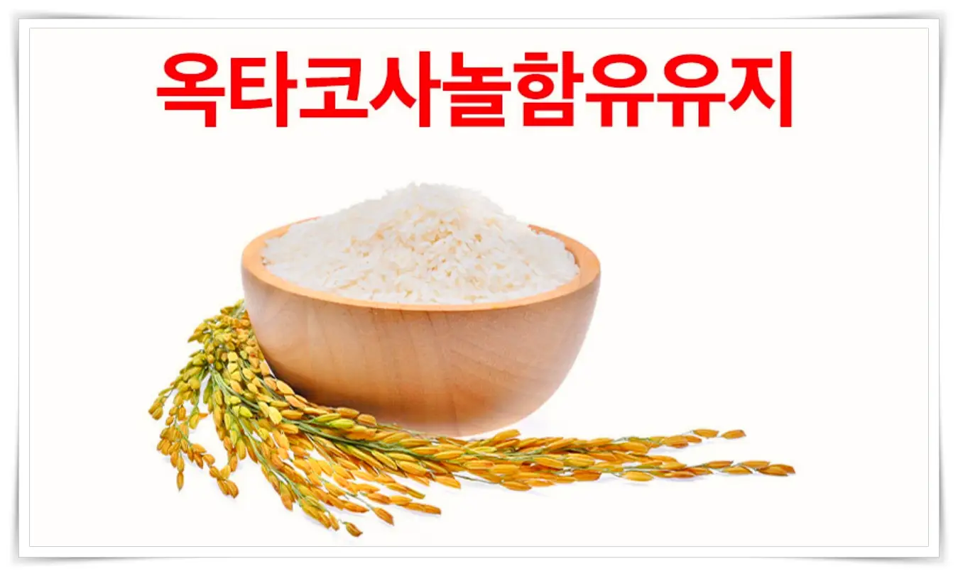 전립선 사군자 프리미엄 효능