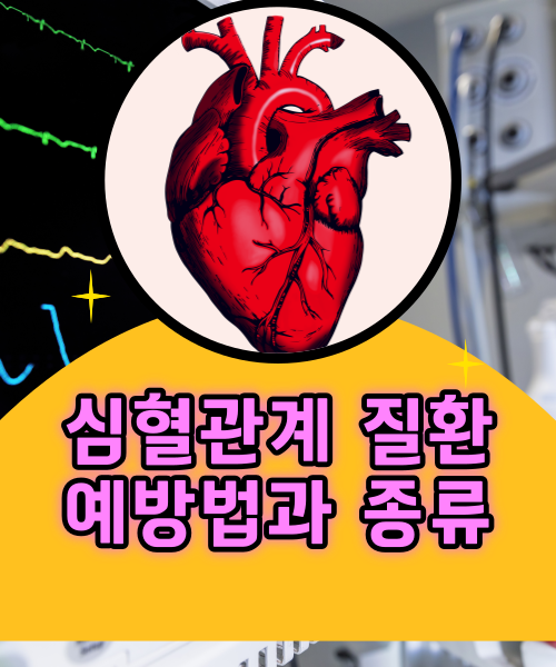  심혈관계 질병 예방법과 건강을 지키는 다양한 습관