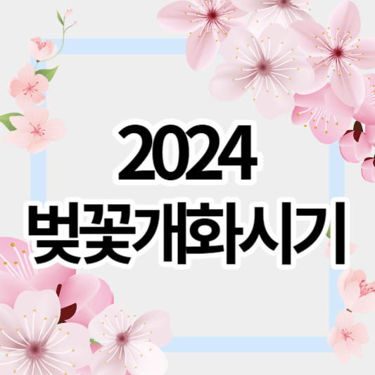 2024_벚꽃개화시기_썸네일