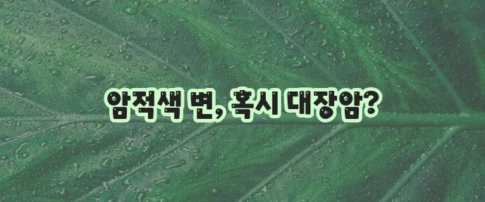 대장암 증상 암적색 변이라면 병원 방문 꼭 필요합니다!