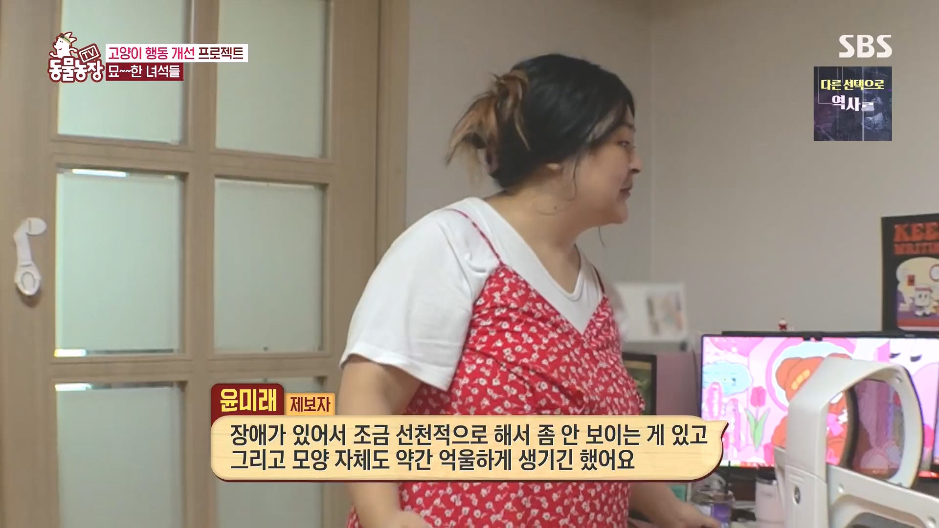TV 동물농장.E1136.230903p.H264-F1RST.mp4_20230903_180353.011.jpg