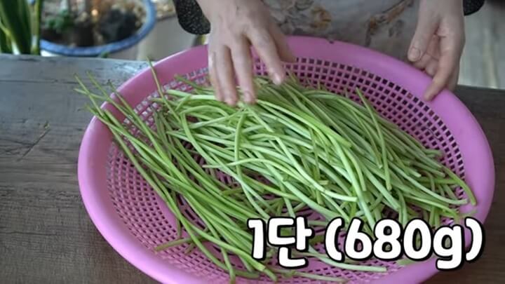 고구마줄기 볶음 부드럽고 감칠맛 가득 고구마줄기 요리 삶는법 고구마줄기 볶음 부드럽고 감칠맛 가득 고구마줄기 요리 삶는법