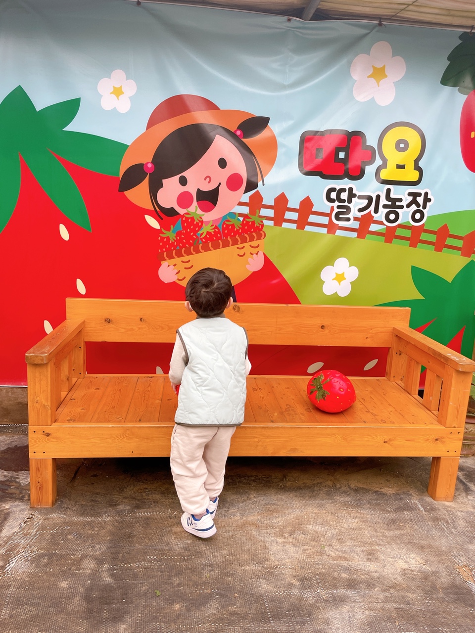  시흥 타요 딸기 농장 , 딸기 체험 천혜향 체험 아이와 가볼 만 한 곳