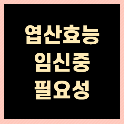  엽산 효능 임신 중 필요성 뜻 총정리 (+필독)
