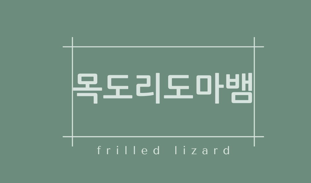 목도리도마뱀(frilled lizard)