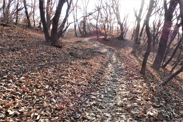 남한산 정상으로 가는 낙엽 쌓인 오솔길