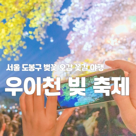  서울 도봉구 벚꽃 오감 꽃길 야행 "우이천 빛 축제"