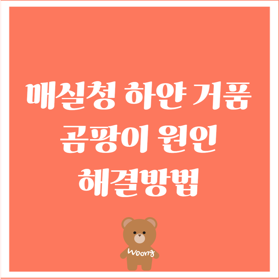 매실청 하얀 거품 곰팡이 원인｜확실한 해결방법1