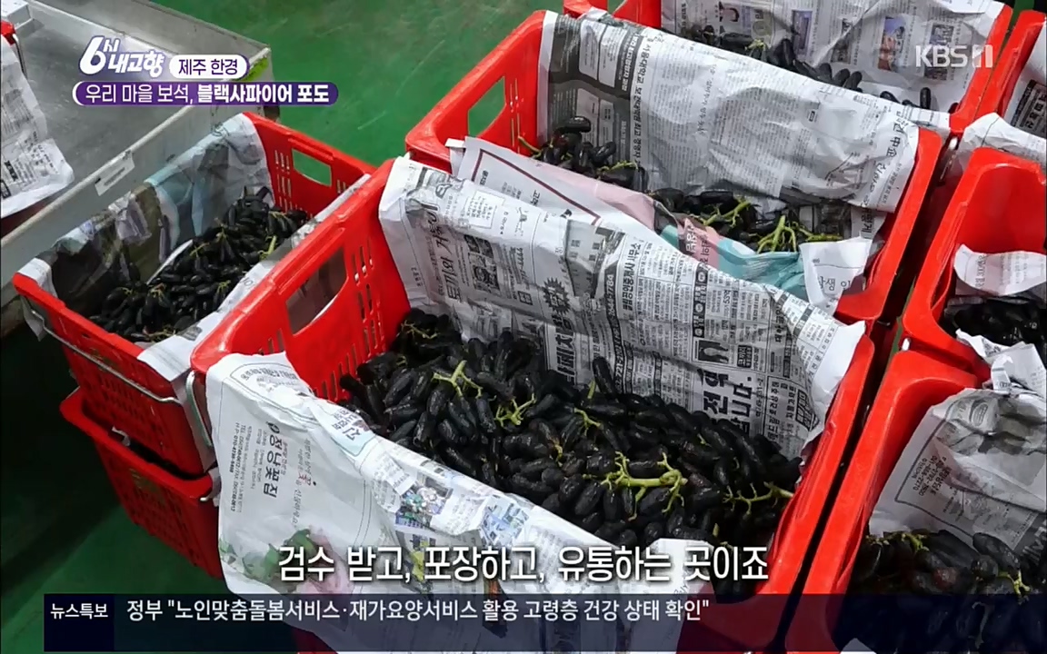 6시 내고향.E7602.220824p.H264-F1RST.mp4_20220825_171307.299.jpg