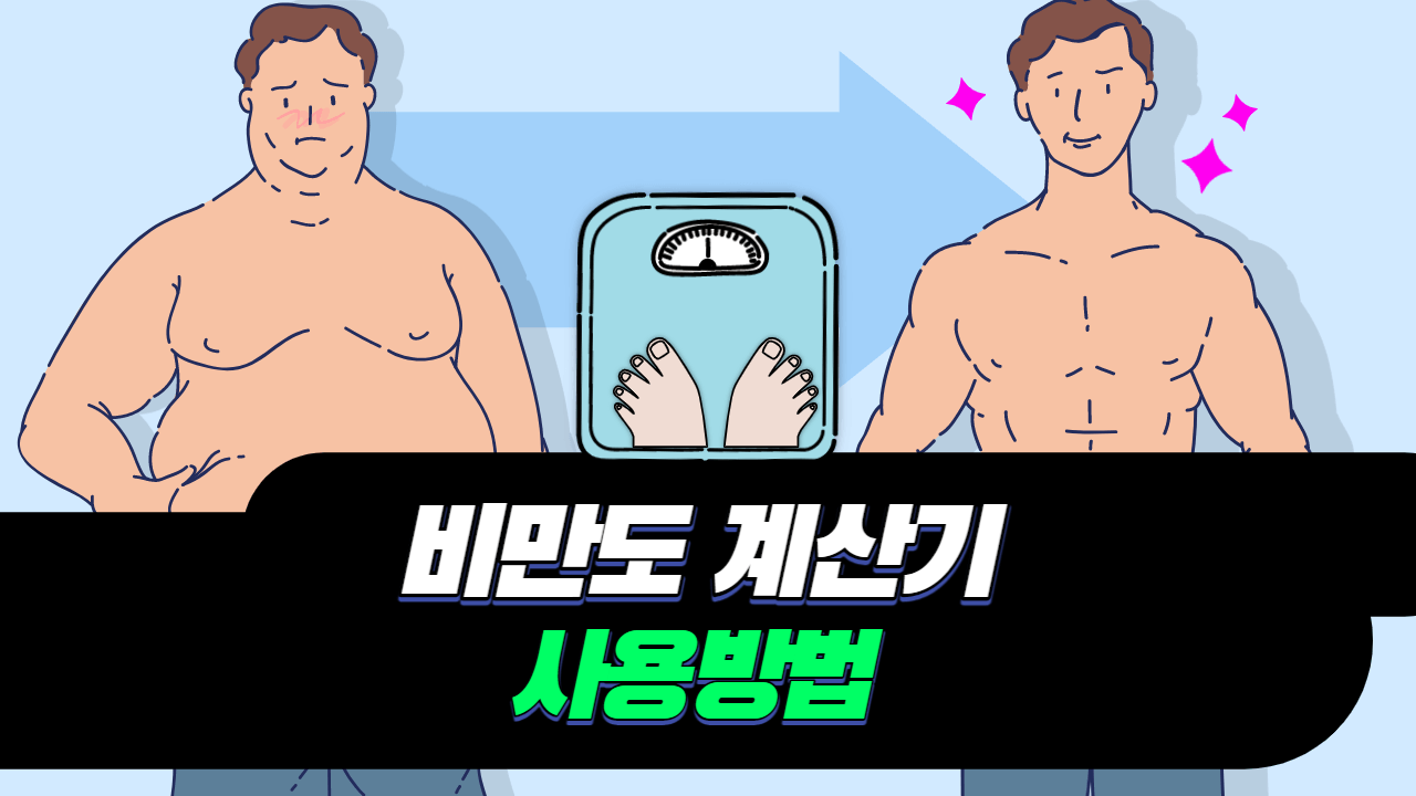 비만도 계산기 사용방법