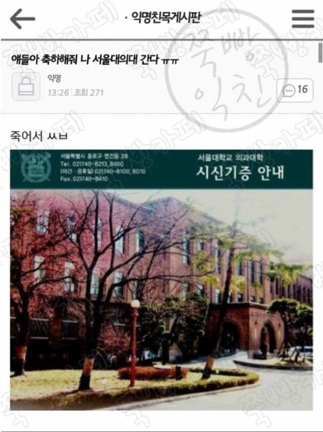  (모음집 3)익명친목 익친 익웃 여초개그 여초드립 여초유머 익친 웃긴글 쭉빵