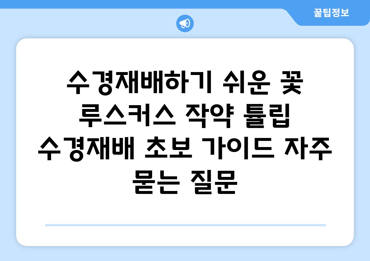 수경재배하기 쉬운 꽃| 루스커스, 작약, 튤립 | 수경재배, 초보, 가이드