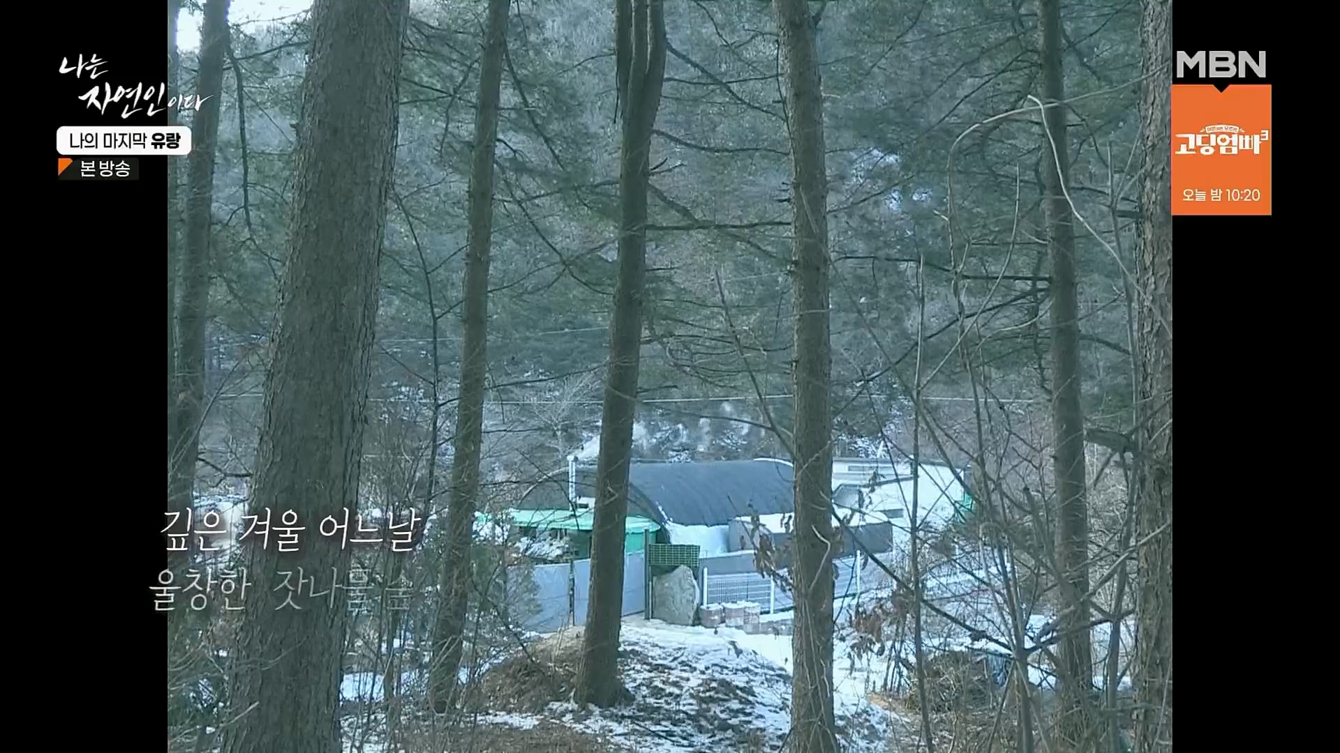 나는 자연인이다.E541.230215p.H264-F1RST.mp4_20230216_192705.854.jpg