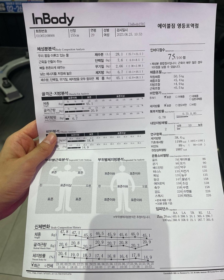 지지바디 이미지