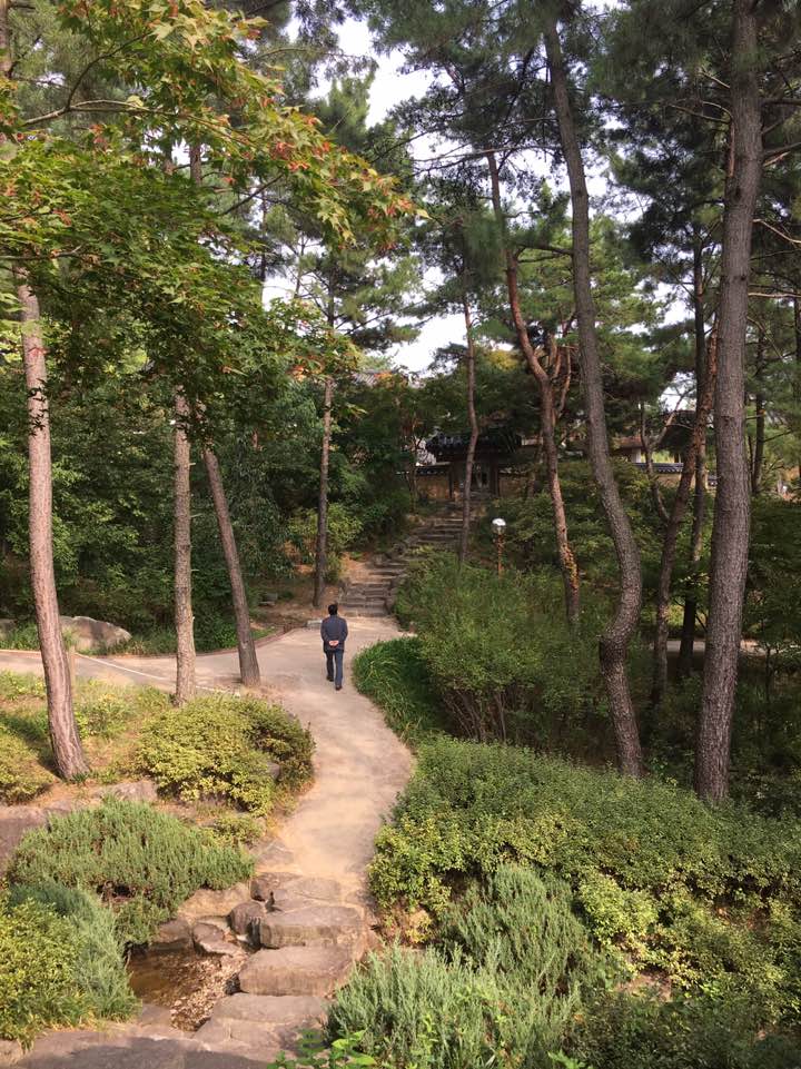  나무인문학자 강판권 교수