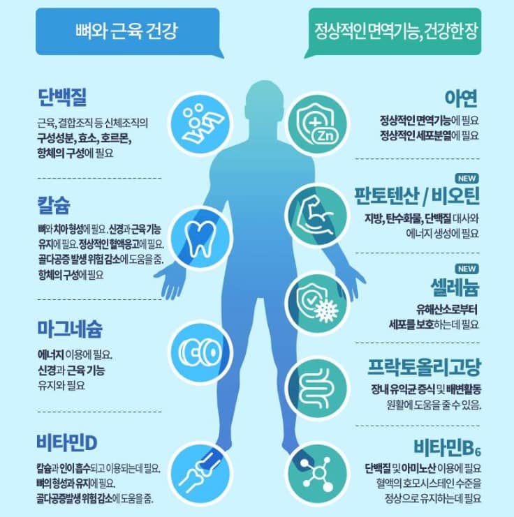 하이뮨 프로틴 밸런스 효능
