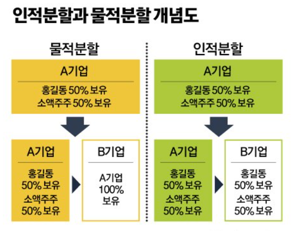 물적분할 개념도
