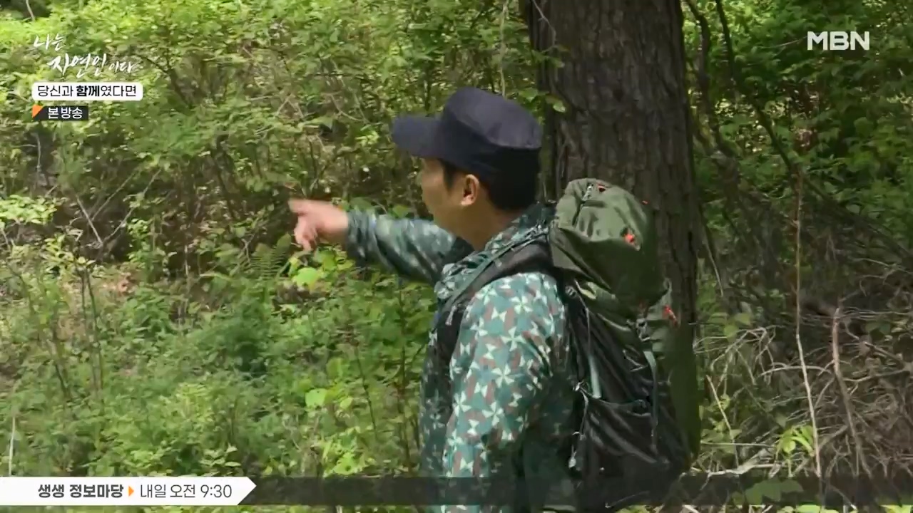 나는 자연인이다.E556.230532p-NEXT.mp4_20230601_201456.068.jpg