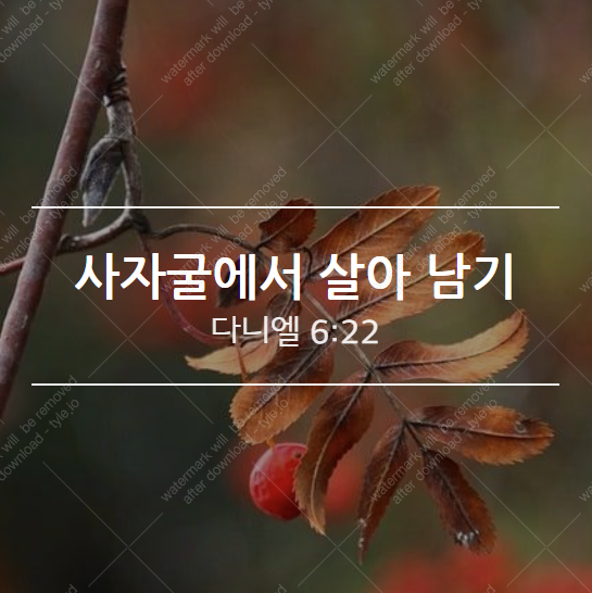  사자굴에서 살아남기