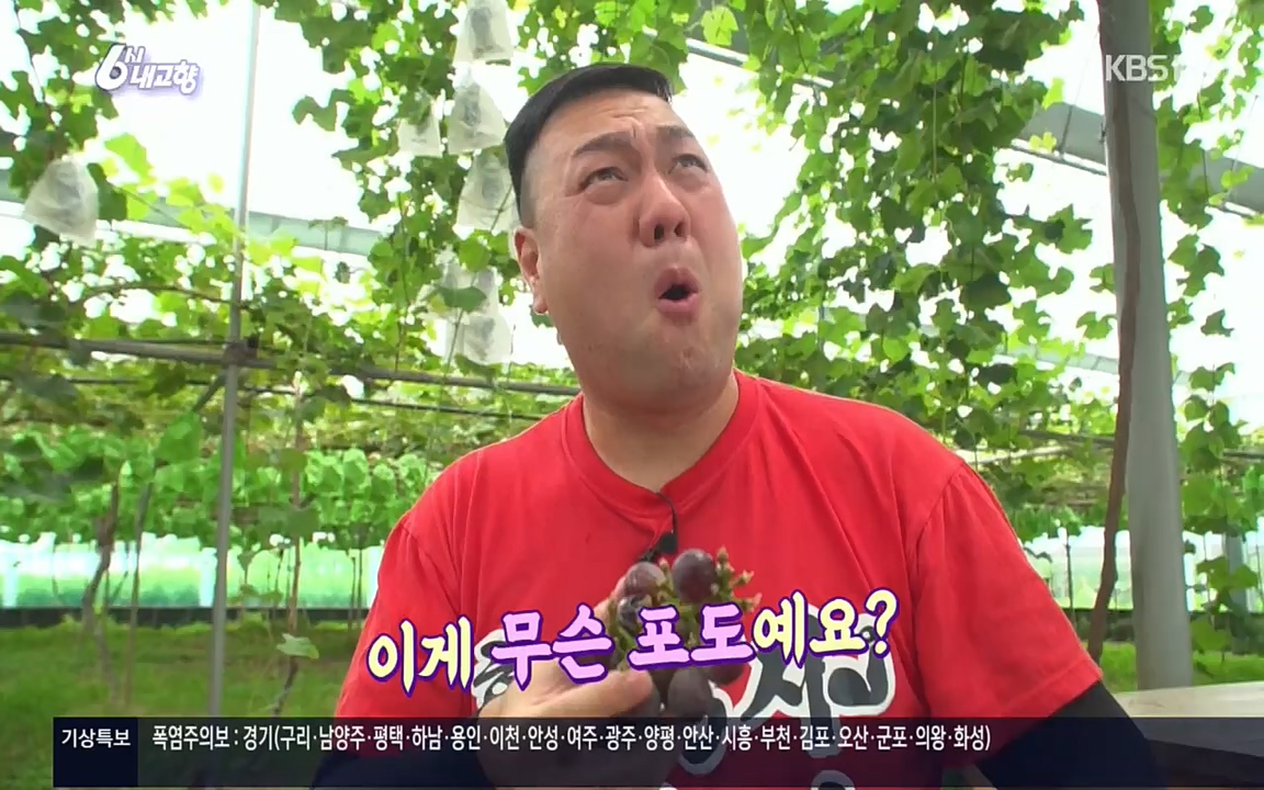6시 내고향.E7583.220727p.H264-F1RST.mp4_20220727_213906.708.jpg