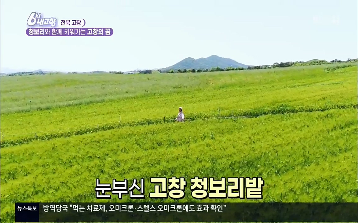 6시 내고향.E7530.220512p.H264-F1RST.mp4_20220516_184642.649.jpg