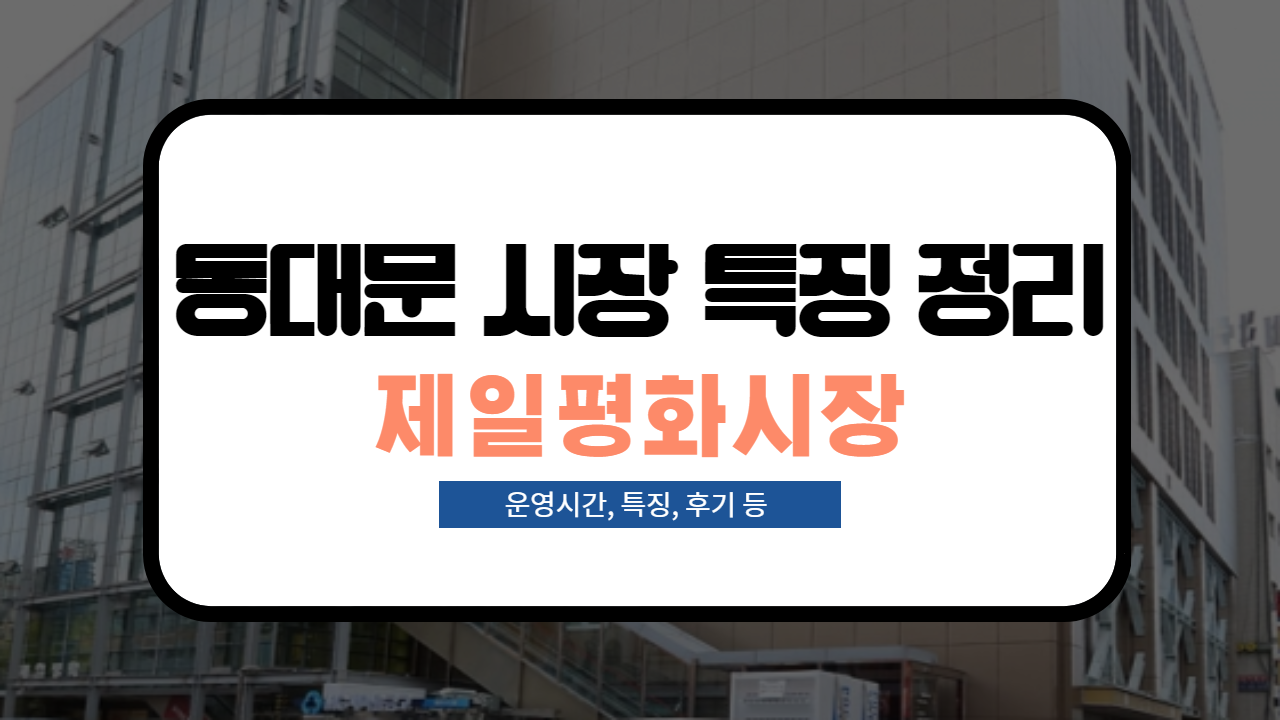  [동대문 시장 특징 정리] 제일평화시장 특징 및 후기 정리!(특징, 후기, 운영시간 등)