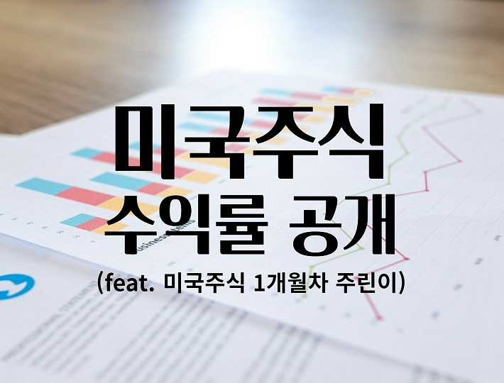  국내 주식 안 하는 이유와 주린이의 연금저축펀드, IRP 그리고 미국 주식 수익률 공개!(feat. 미국 주식 왜 안 해요?)