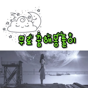  무료 꿈해몽 풀이 보는 방법!