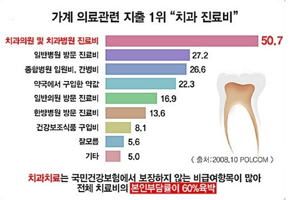 치아보험 보장 내용, 치과 진료비 규모