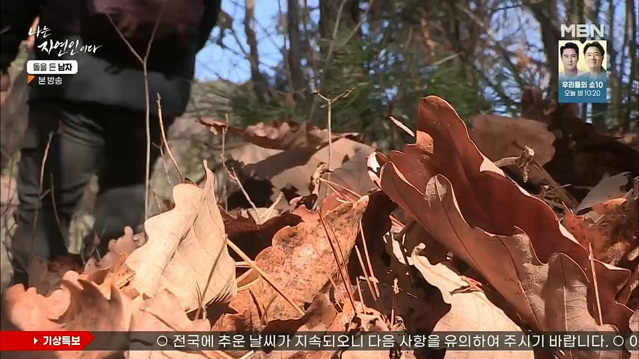 나는 자연인이다.E532.221215p.H264-F1RST.mp4_20221215_194258.254.jpg