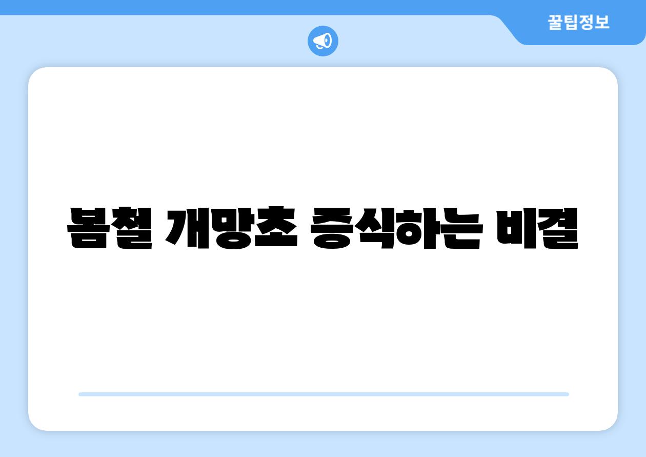 봄철 개망초 증식하는 비결