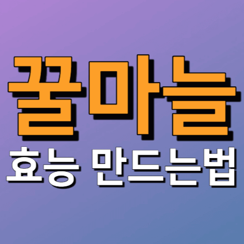 꿀마늘 효능 만드는법