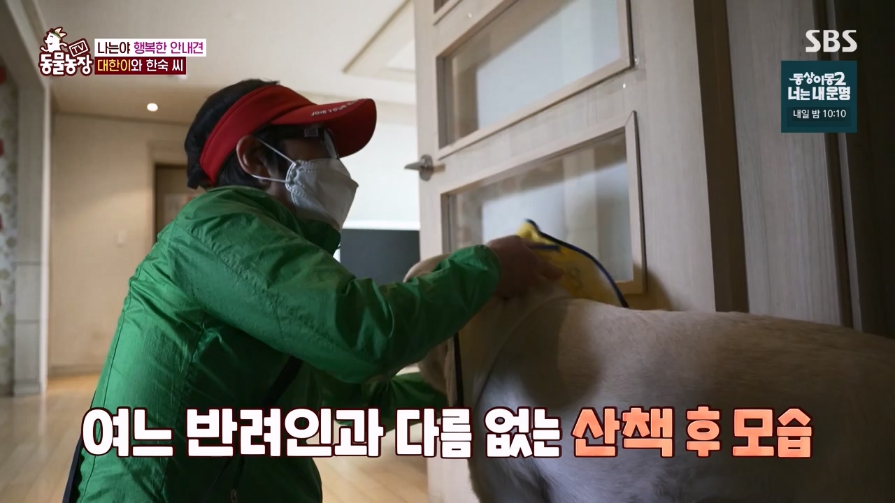 TV 동물농장.E1122.230529p-NEXT.mp4_20230528_170256.834.jpg