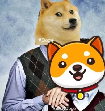 도지 이미지
